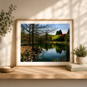 Impression Photo Vue charmante au bord du lac