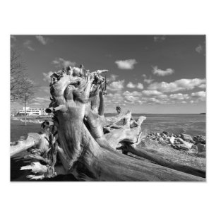 Impression Photo Vue du port - Plymouth, Massachusetts