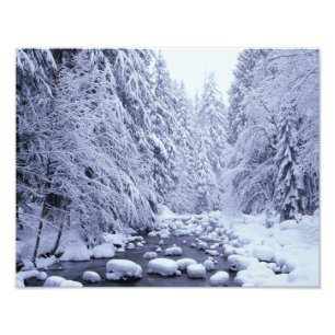 Impression Photo WA, forêt nationale du Mont Baker-Snoqualmie,