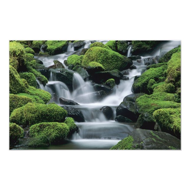 Impression Photo WA, Pôle olympique, Vallée de Sol Duc, ruisseau av (Devant)