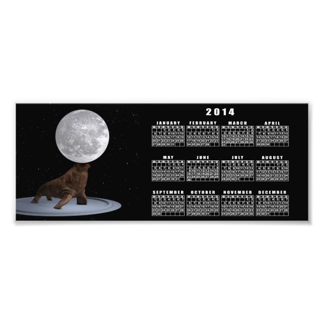 Impression Photo Walrus Équilibrer La Lune (Devant)