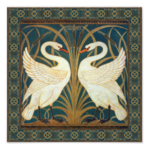 Impression Photo Walter Crane Swan