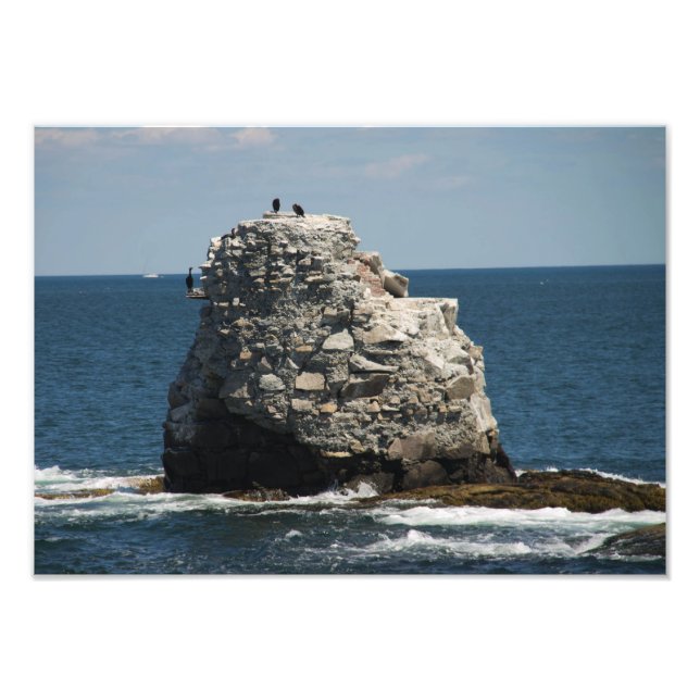 Impression Photo Whale Rock (Devant)