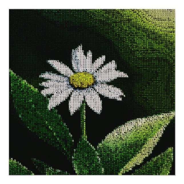 IMPRESSION PHOTO WHITE DAISY (Devant)