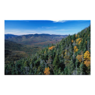 Impression Photo White Mountain N.F., NH. La vue de proximité