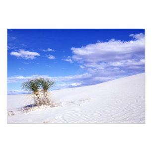 Impression Photo White Sands NM, Nouveau-Mexique, USA