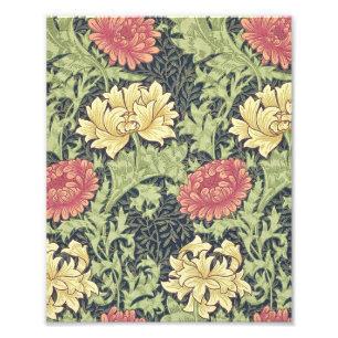 Impression Photo William Morris Chrysanthemum Vintage Floral Art