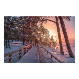 Impression Photo Winter sunset in pine forest near sea