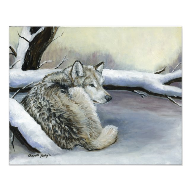 Impression Photo Wolf Laying in the Snow Art (Devant)