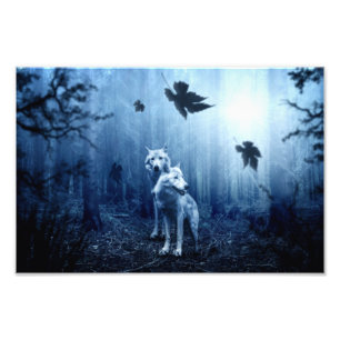 Impression Photo Wolves