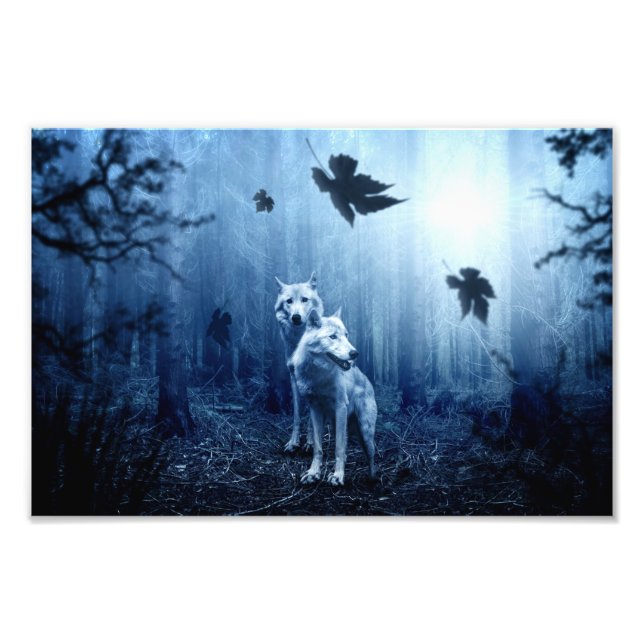 Impression Photo Wolves (Devant)