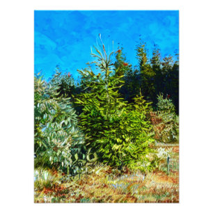 IMPRESSION PHOTO WOODLAND