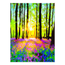 WOODLAND STREAMING SOLEIL LIGHT