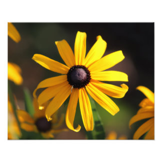 Impression Photo yellow flower