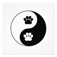 Yin Yang Chien Paw