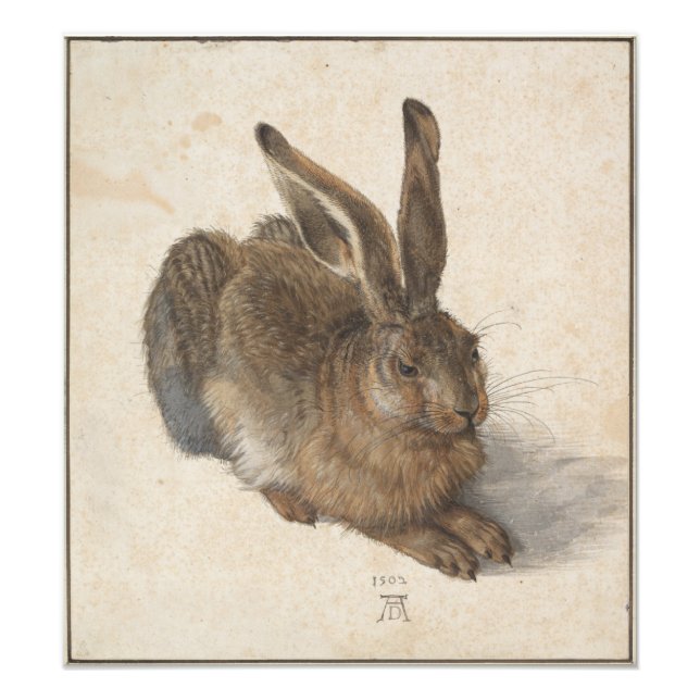 Impression Photo Young Hare par Albrecht Durer (Devant)