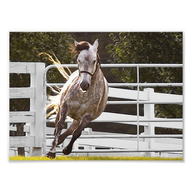 Impression Photo Zest for Life (Devant)