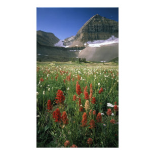 IMPRESSION PHOTO ZONE SAUVAGE DU MONT TIMPANOGOS, UT, É-U,