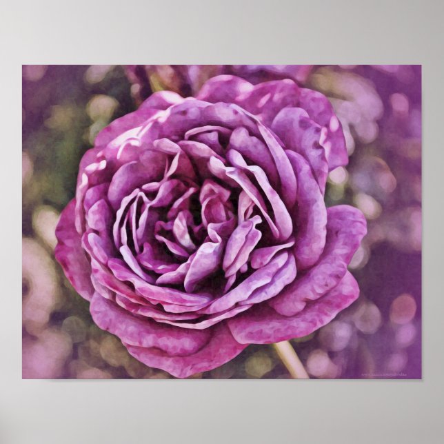 Impression photographique Rose violet (Devant)