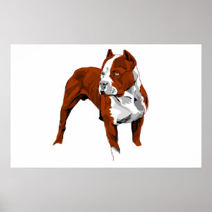 Impression Pitbull