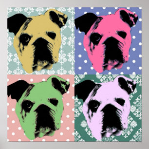 Impression Pop Bulldog