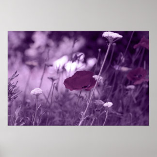 impression pop-i violet