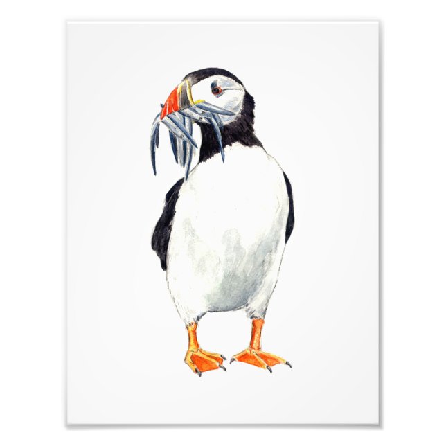 Impression Puffin (Devant)