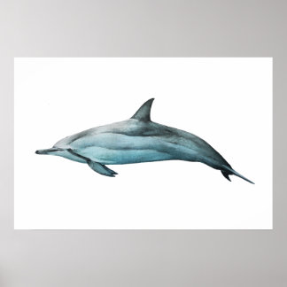 Impression réaliste d'illustration de dauphin spin