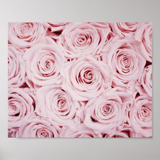 impression rose | fleurs murales (Devant)