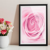 Impression rose, Mur rose, Fleur rose imprimable P