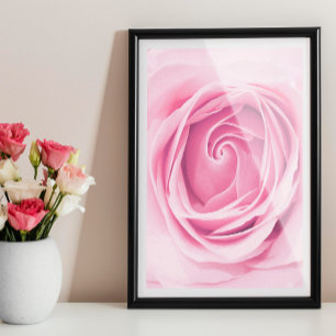 Impression rose, Mur rose, Fleur rose imprimable P