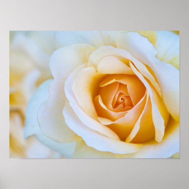 Impression rose, papier d'affiche de valeur (Matte (Devant)