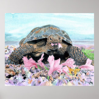 Impression Roxy Turtle Canvas