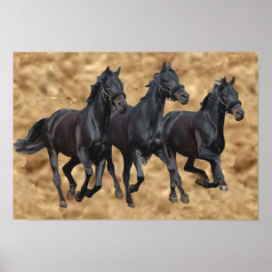 Impression sauvage de chevaux