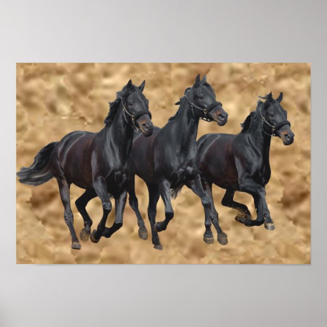 Impression sauvage de chevaux (Devant)