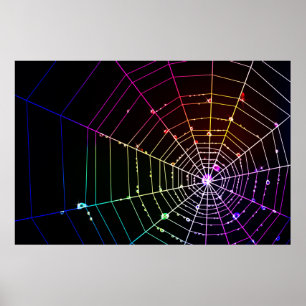 Impression Spider Web 1