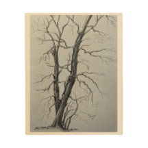 Arbres d'hiver