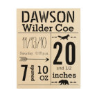 Baby Boy Birth Plaque Arrow Oear Fox Embellisment