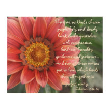 Fleur Colossians 3
