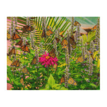 Papillons monarques sur bois 35,5 x 28 cm