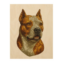 Portrait de chien Pitbull