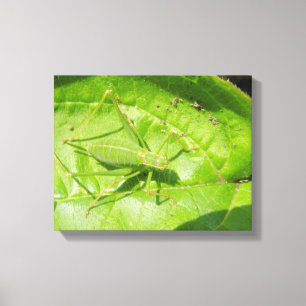 Impression sur toile Camouflage de cricket vert