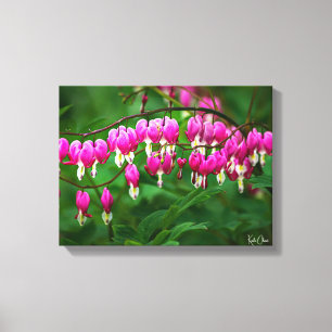 Impression sur toile Coeur Sanglant