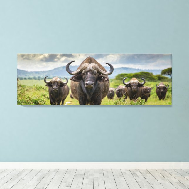 Impression sur toile Cool Buffalo ! (Insitu (Plancher de Bois))