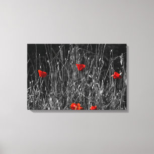 Impression sur toile - Coquelicots de solitude rou