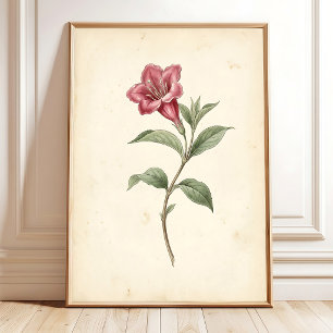 Impression sur toile d'art botanique de Weigela vi