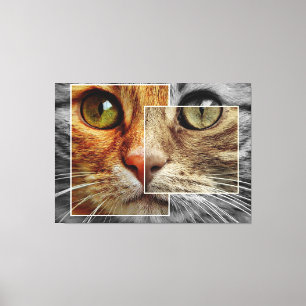 Impression sur toile de collage de visage de chat