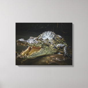 Impression sur toile de crocodile