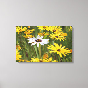 Impression sur toile de fleurs jaunes et blanches 