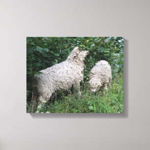Impression sur toile de moutons mignons mangeant d